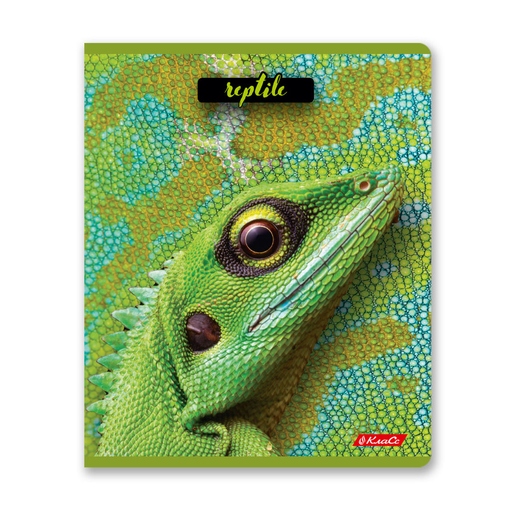 Светоч 80ТСК5_8_2_1 Тетрадь ученическая общая, твин лак, A5 80 л. на скобе 65 г/кв.м , белизна 100 % 5 шт. клетка 000487 Рептилии  фото 4