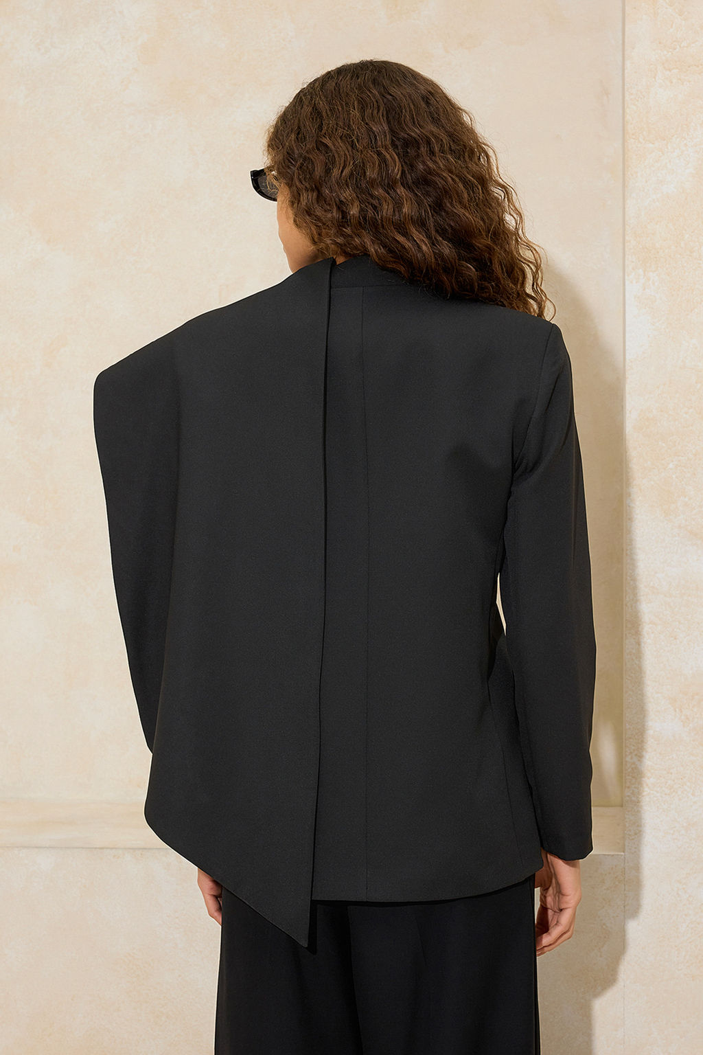 Siyah Sal Yaka Regular/Normal Kal?p Dokuma Astarl? Vatkal? Blazer Ceket TWOSS26BC00010