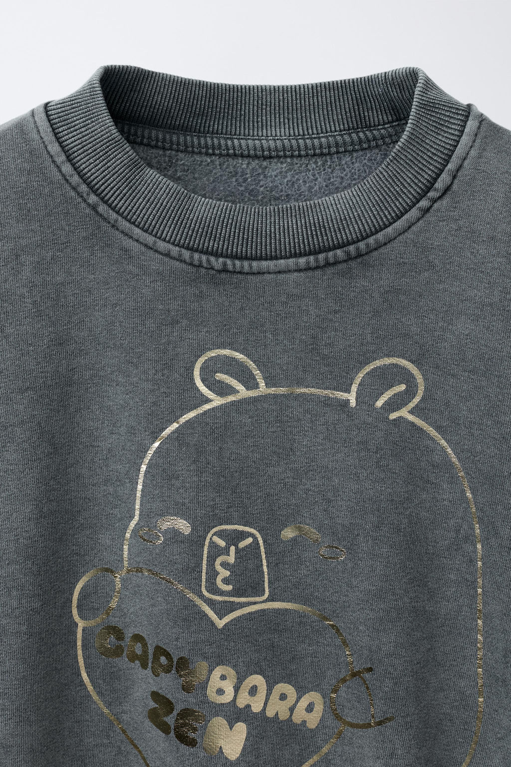 SHINY CAPYBARA CAPYFUN  SWEATSHIRT - Zara фото 3
