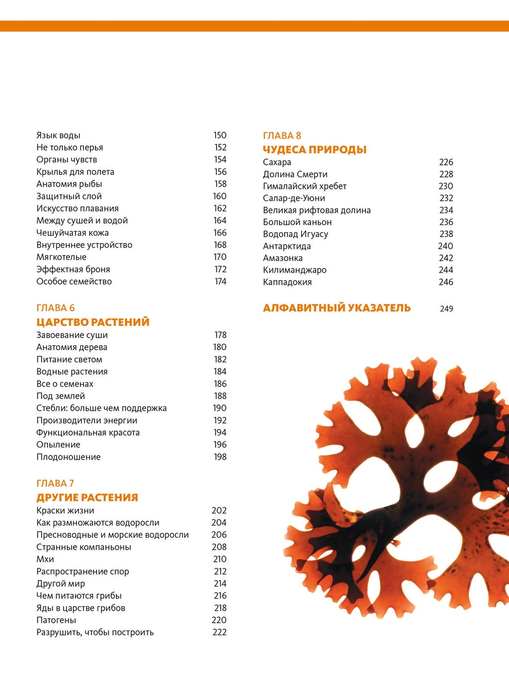 Наша планета Земля. Большая иллюстрированная энциклопедия. Малиция Д., Сориано Д., Фернандес А. - Махаон фото 4
