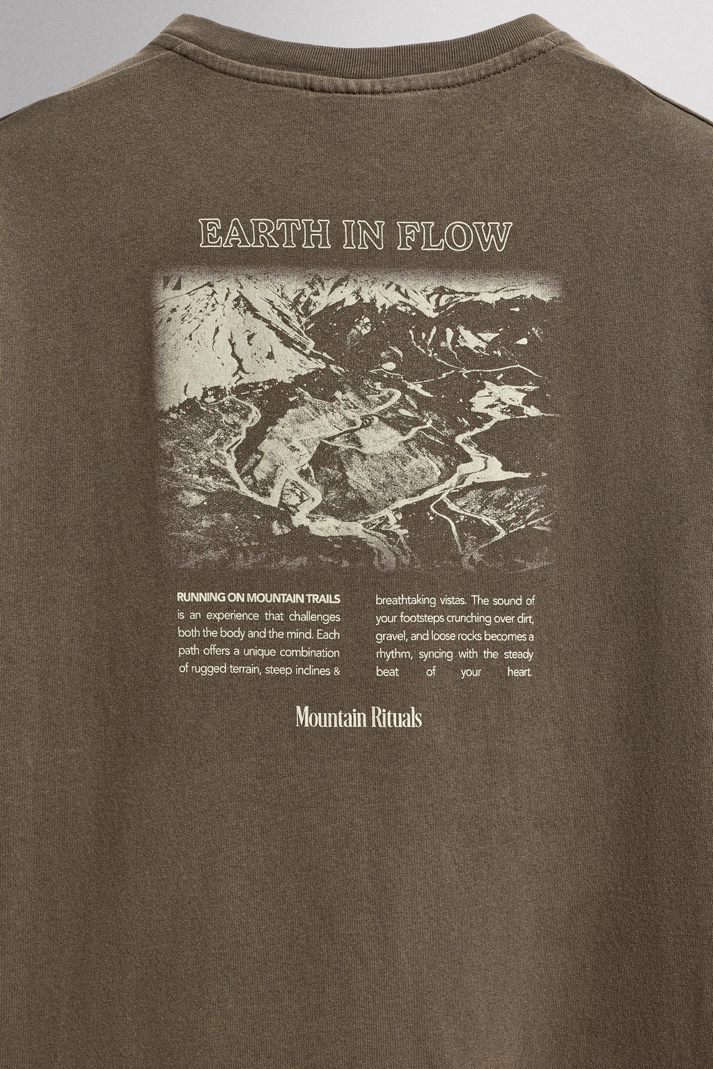 CAMISETA REGULAR FIT GR?FICO ESTAMPADO / Marr?n / Topo