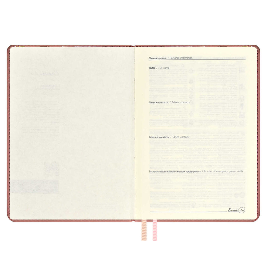 Ежедневник недатированный ESCALADA, А6+, 120 л., арт. 64015/ 15 СОФТ-ТАЧ ПЕПЕЛЬНО-РОЗОВЫЙ  фото 4