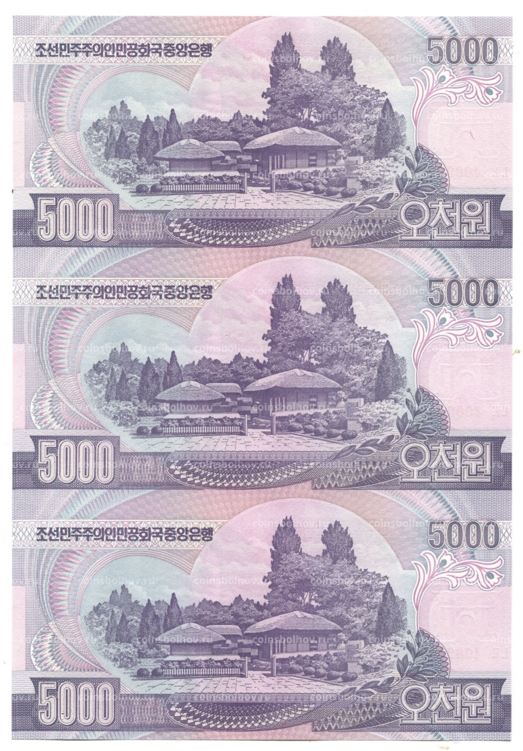 Банкнота 5000 вон 2006 года Северная Корея  Лист из трех банкнот
