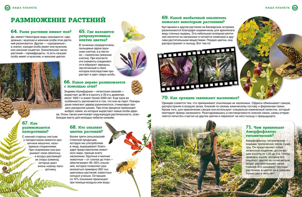 Наша планета: загадочные и удивительные факты. - Махаон фото 5