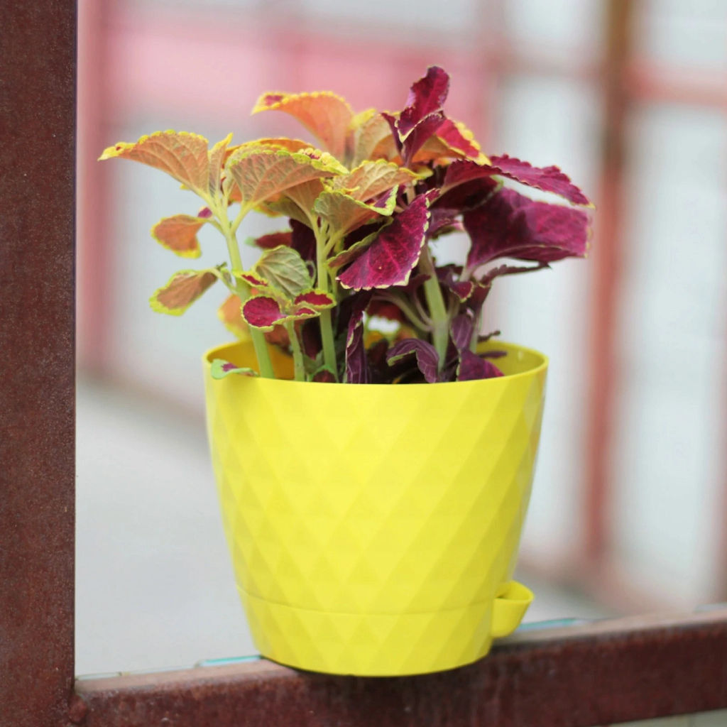 Цена за 3 шт. Горшок для цветов пластиковый 1,5л d-14см "Румба" с поддоном лимон