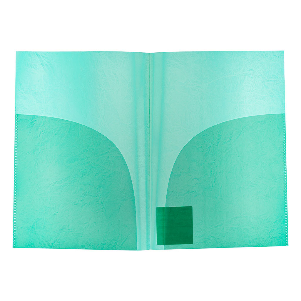 Expert Complete Premier Папка-уголок (2 кармана) A4 180 мкм волокно 20 шт. зеленый new EC21230003