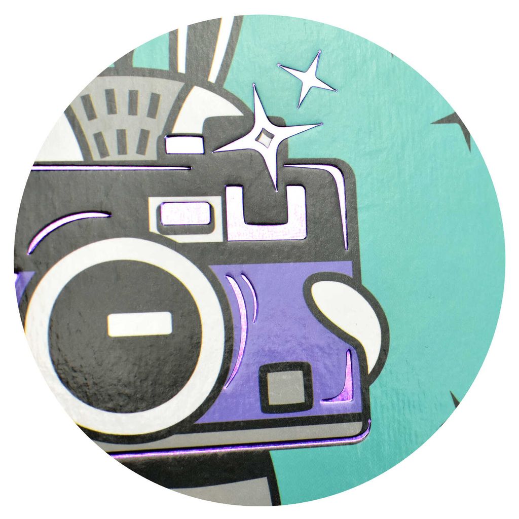 Дневник школьный 5-11 класс арт. 60099 ЗАЯЦ ФОТОГРАФ - Феникс+ фото 2