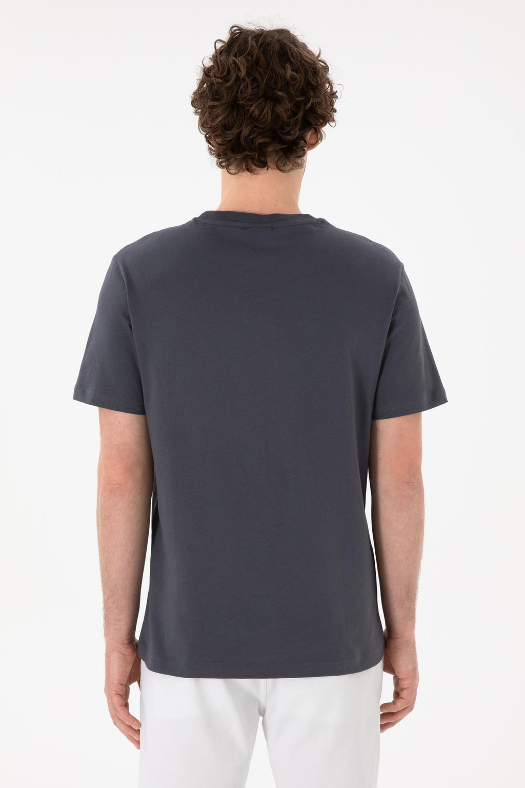 Erkek Regular Fit Bisiklet Yaka Antrasit Basic Ti__rt