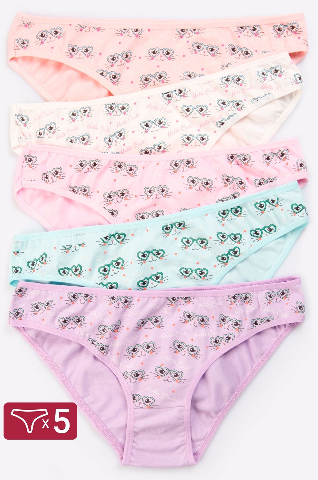 Женские трусы-слипы 5 шт. Happy Fox