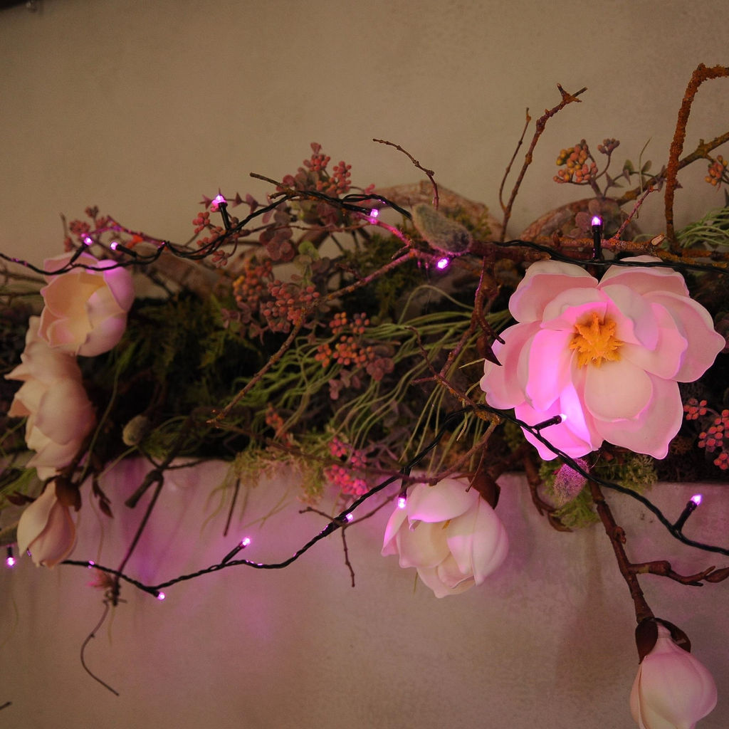 ULD-S0500-050/DGA PINK IP20 Гирлянда светодиодная, 5м. 50 светодиодов. Розовый свет. Провод зеленый. ТМ Uniel