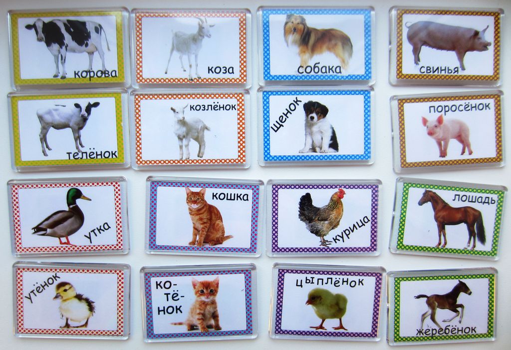 Развивающая игра Мамы и детеныши Часть 1 - Smiledecor фото 3