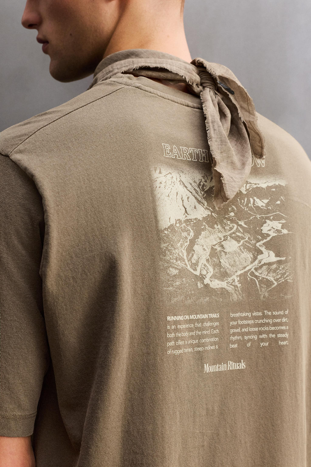 CAMISETA REGULAR FIT GR?FICO ESTAMPADO / Marr?n / Topo