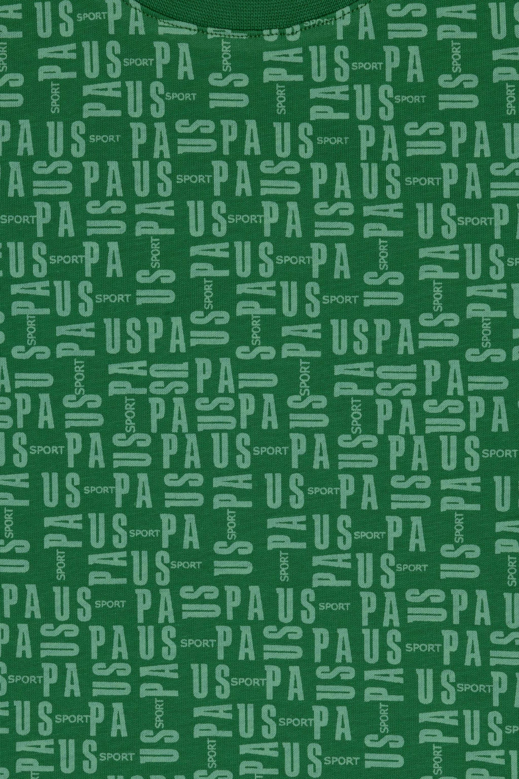 Erkek _ocuk Ye_il Bisiklet Yaka Ti__rt Sepette S_rpriz _ndirim - U.s. polo assn фото 3