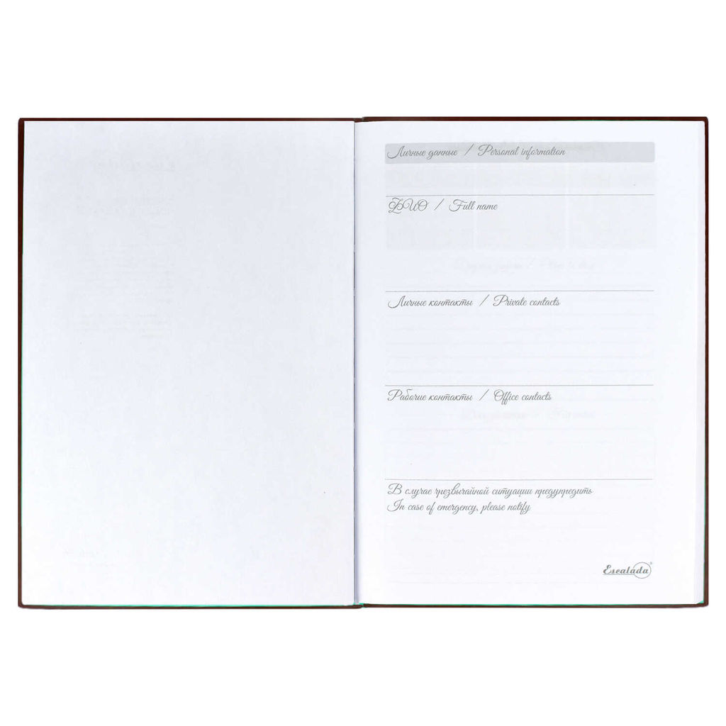 Ежедневник недатированный, А5, арт. 52441/ 15 ВИННЕР ЧЁРНЫЙ - Феникс+ фото 6