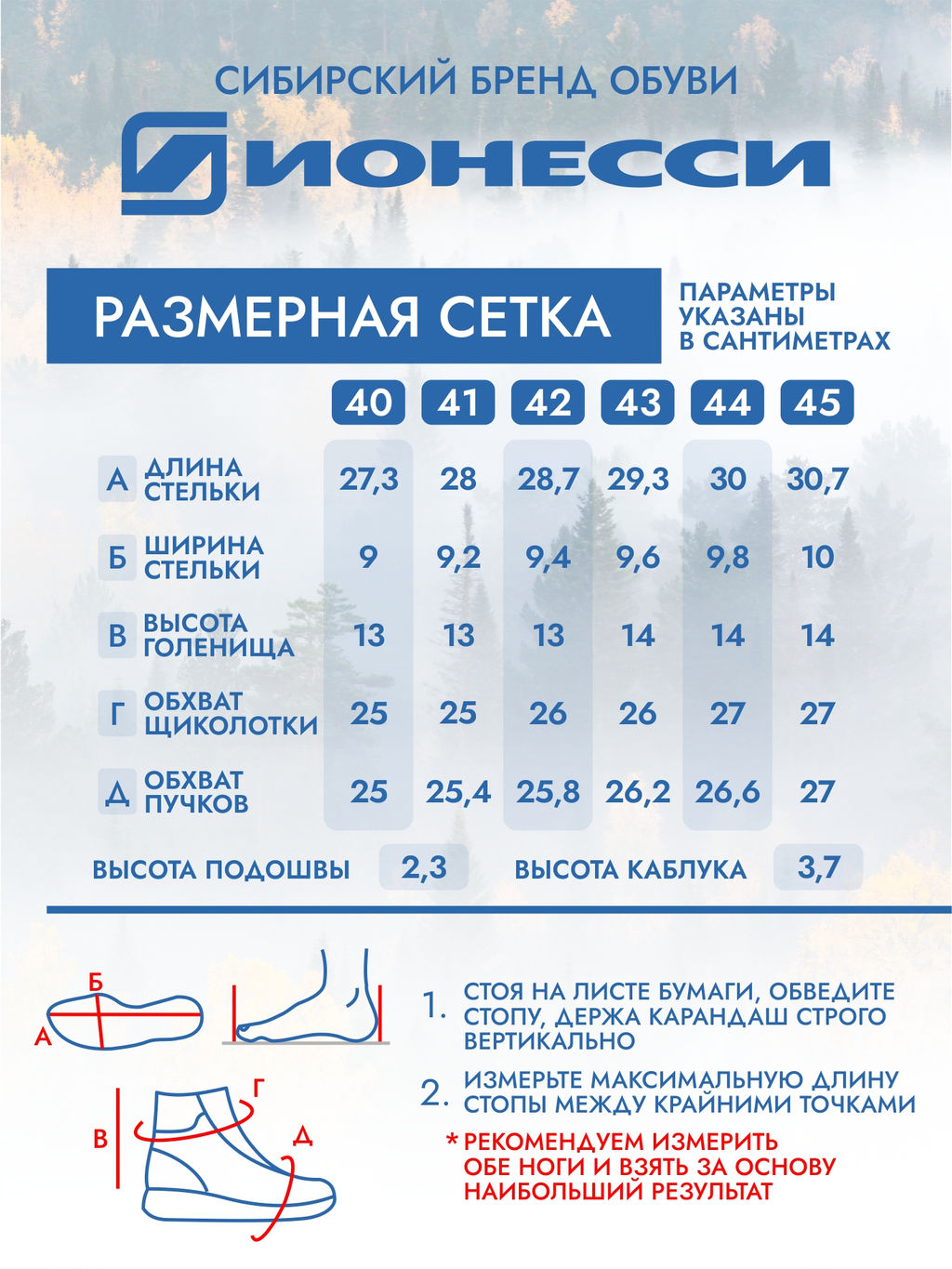 Ботинки - Ионесси фото 9