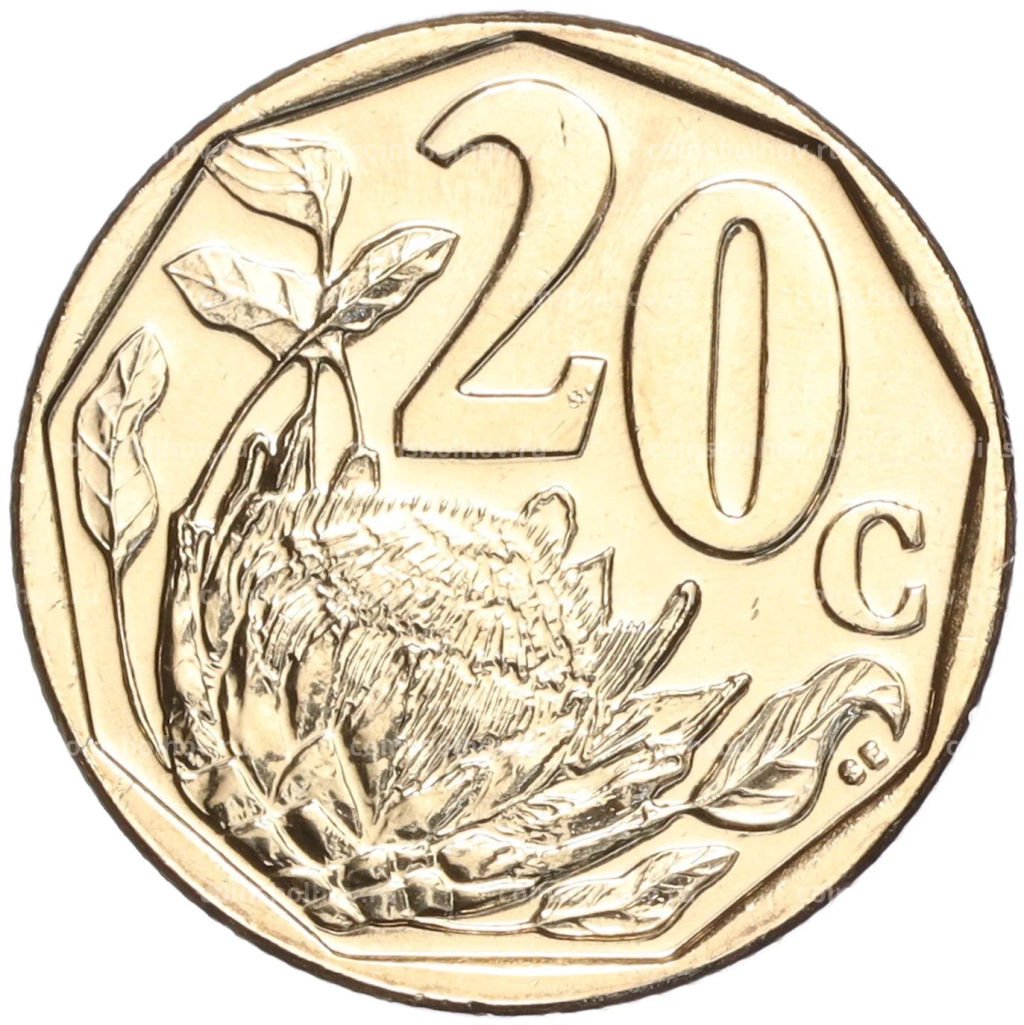 20 центов 2021 года ЮАР