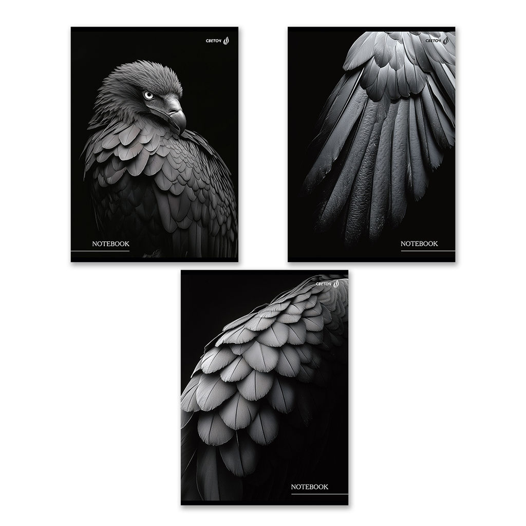 Светоч Т155 Тетрадь ученическая общая, выборочный лак, A4 80 л. на скобе 65 г/кв.м , белизна 100 % 6 шт. клетка 01350 Чёрные крылья