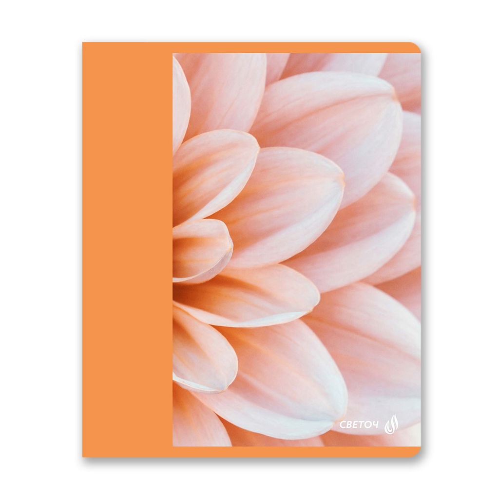 Светоч 96Т16 Тетрадь ученическая общая, матовая ламинация, A5 96 л. на скобе 65 г/кв.м , белизна 100 % 5 шт. клетка 01005 Абрикосовый краш  фото 5