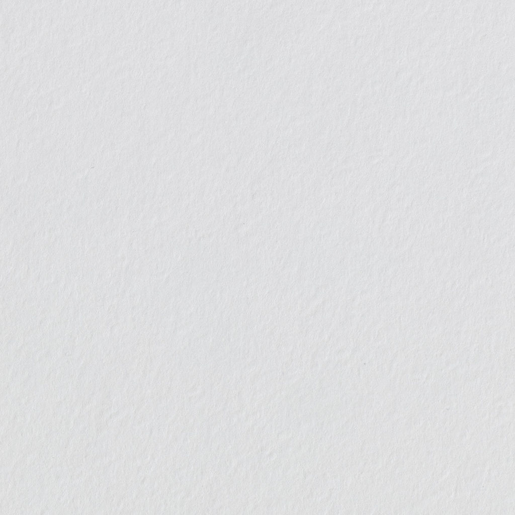 VISTA-ARTISTA PWG-A220 Папка с бумагой для акварели 100% целлюлоза 200 г/м2 A2 60 х 42 см папка 20 л. Лодочки гознак тисненая - Аква-колор фото 4