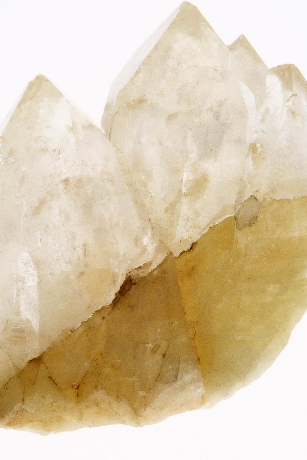 CITRINE FLAME EDP 50ML / 1.7 fl.oz. - Zara фото 3