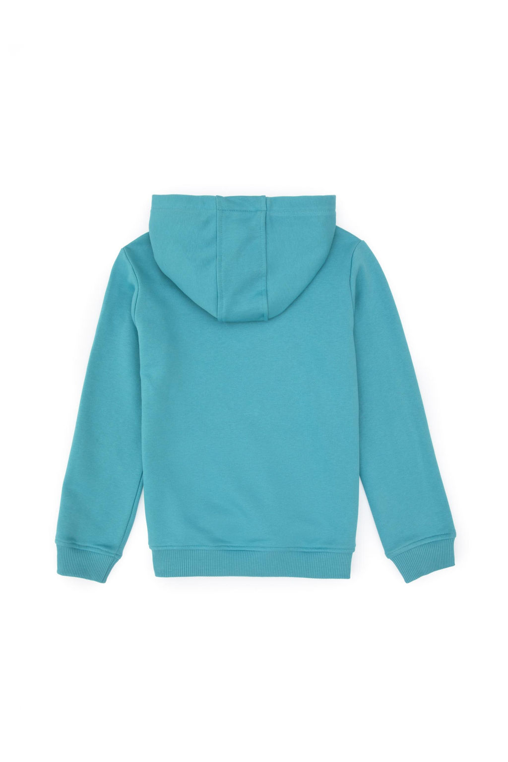 Erkek _ocuk Mint Basic Kap__onlu Sweatshirt - U.s. polo assn фото 2