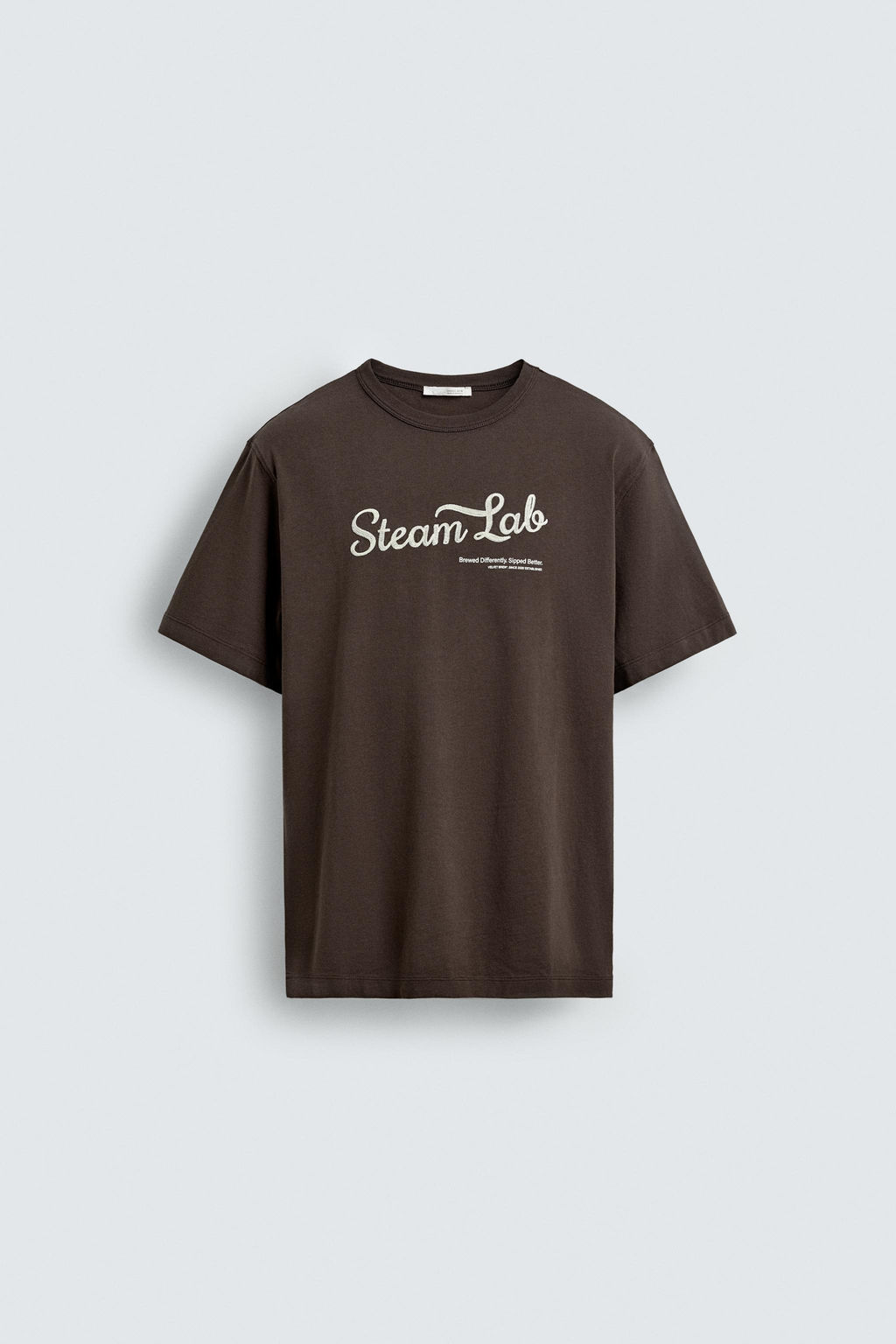 CAMISETA TEXTO BORDADO / Marr?n - Zara фото 6
