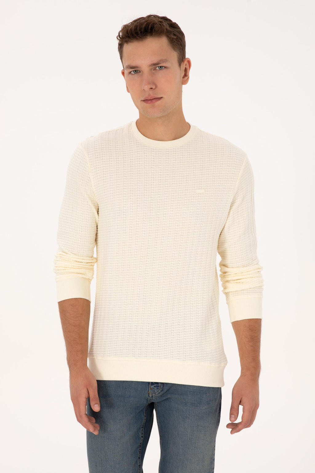 Erkek Krem Sweatshirt