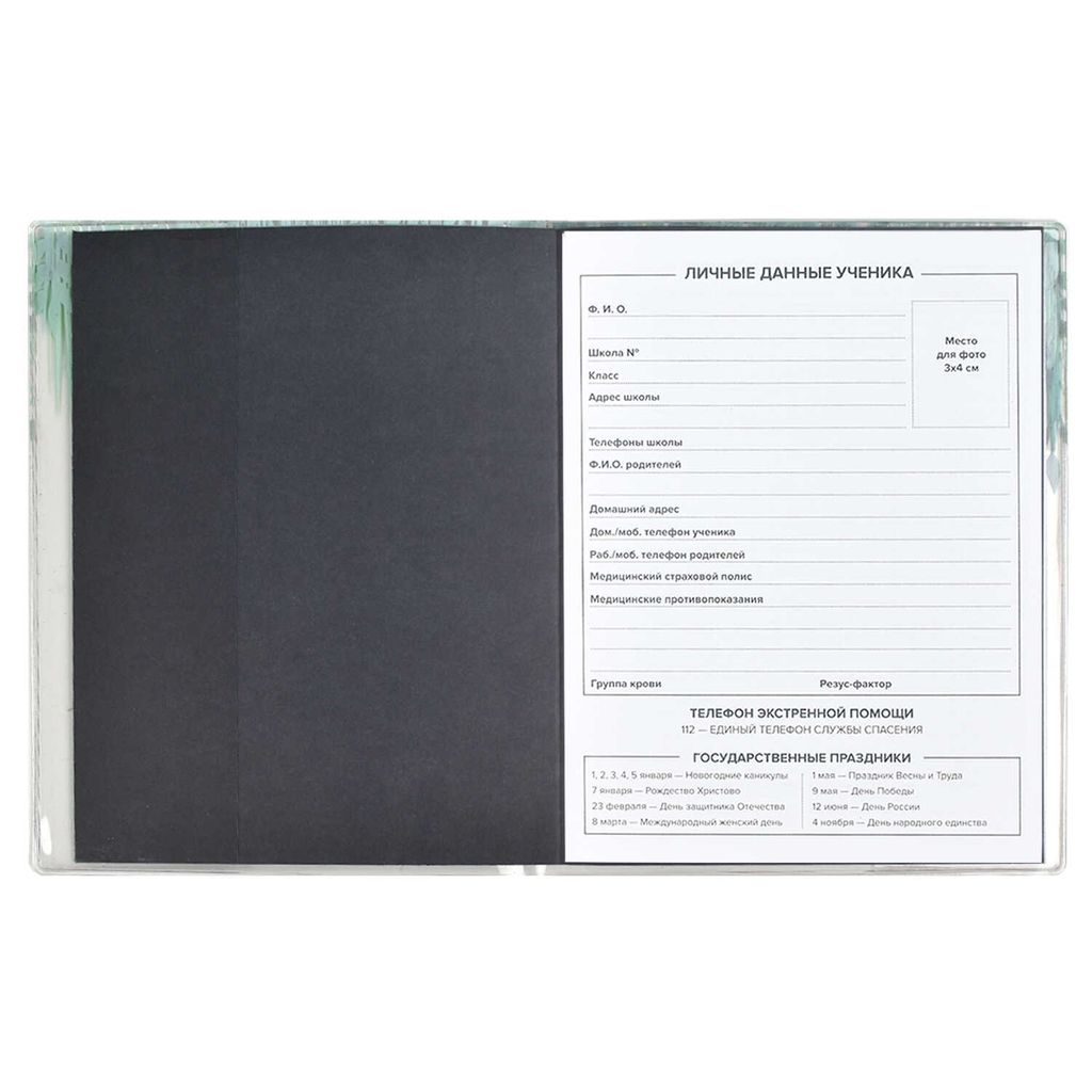 Дневник школьный арт. 54247 / 15 ЕНОТЫ - Феникс+ фото 5