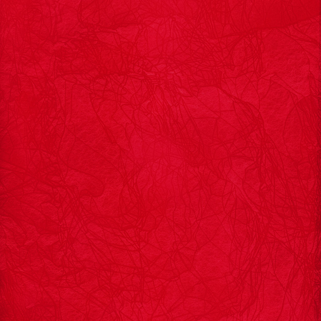 Expert Complete Premier Папка-конверт на ZIP-молнии travel 180 мкм волокно 10 шт. красный ЕС21123004T