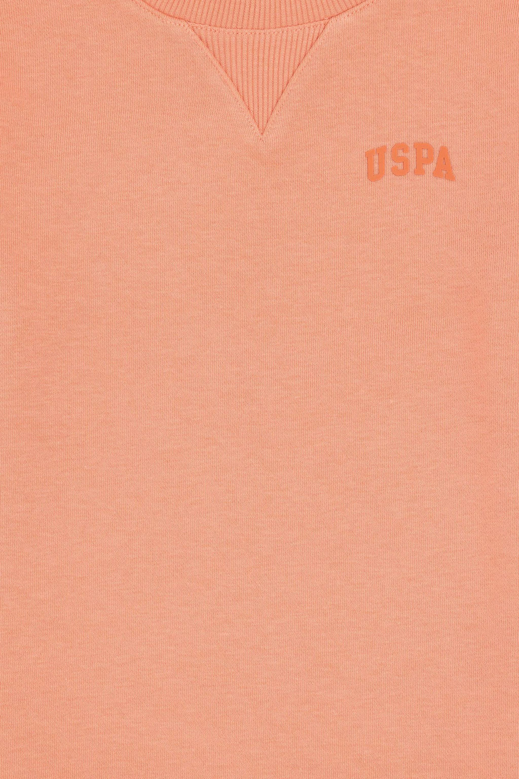 Базовый свитшот Salmon для мальчиков Неожиданная скидка в корзине - U.s. polo assn фото 3