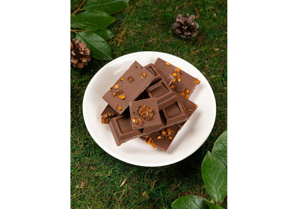 Шоколад молочный с сушеной морошкой Карелия (плитка)