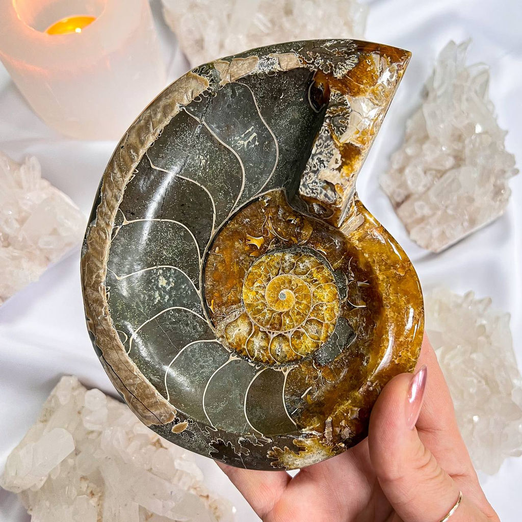 Чаша резная из Аммонита - Радуга самоцветов фото 2