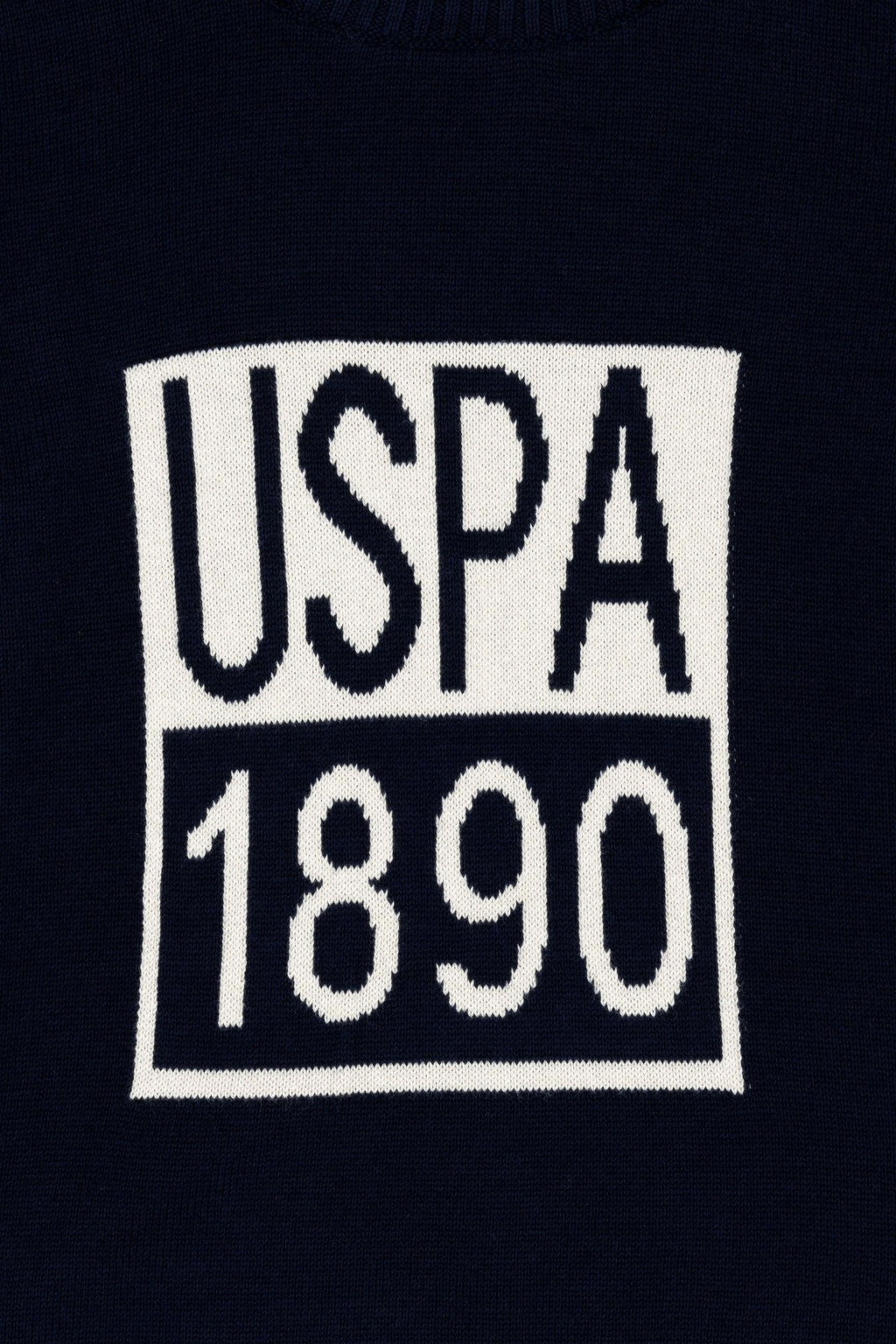U. S. Polo Assn Темно-синий свитер с круглым вырезом для мальчика - U.s. polo assn фото 3