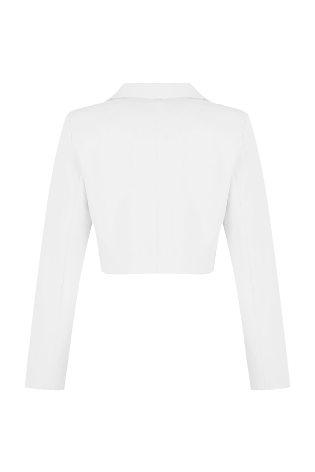 TRENDYOLMILLA Siyah Crop Astarl? Dokuma Blazer Ceket TWOAW22CE0086  фото 22