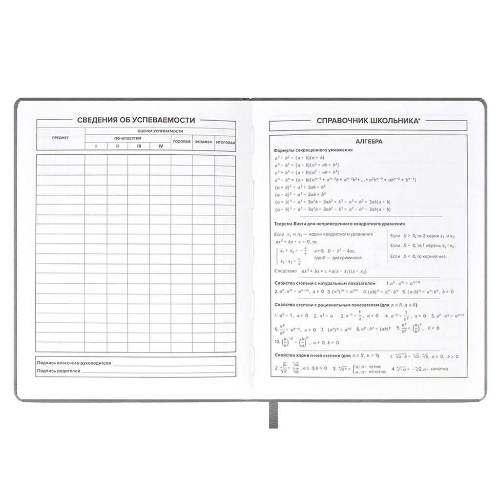 Дневник школьный арт. 59637 / 15 КЕДЫ СЕРЫЕ - Феникс+ фото 9