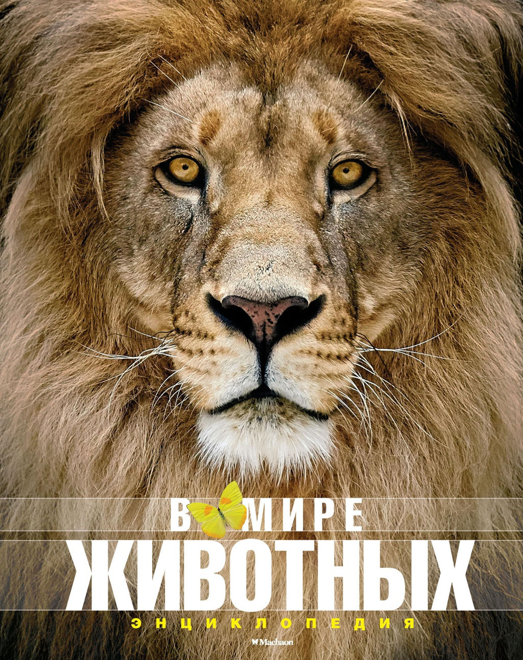 В мире животных (нов.обл.). Энциклопедия. Пратези Ф., Пратези И. - Махаон фото 7