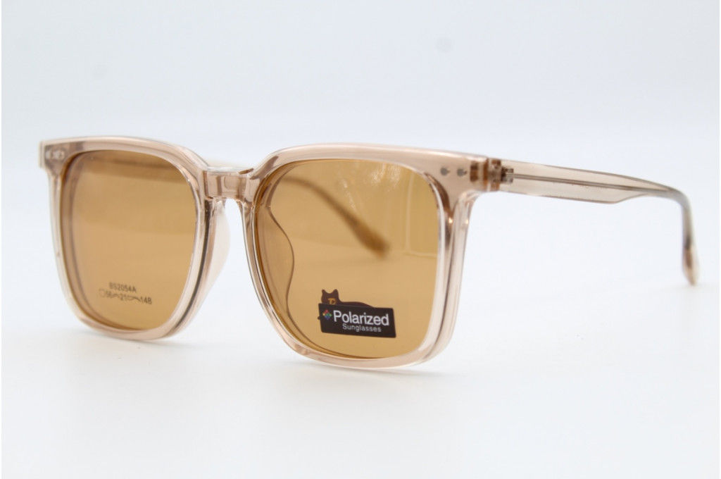Оправа Bosiyan 2054 56-21-148 C3 с насадкой Polarized