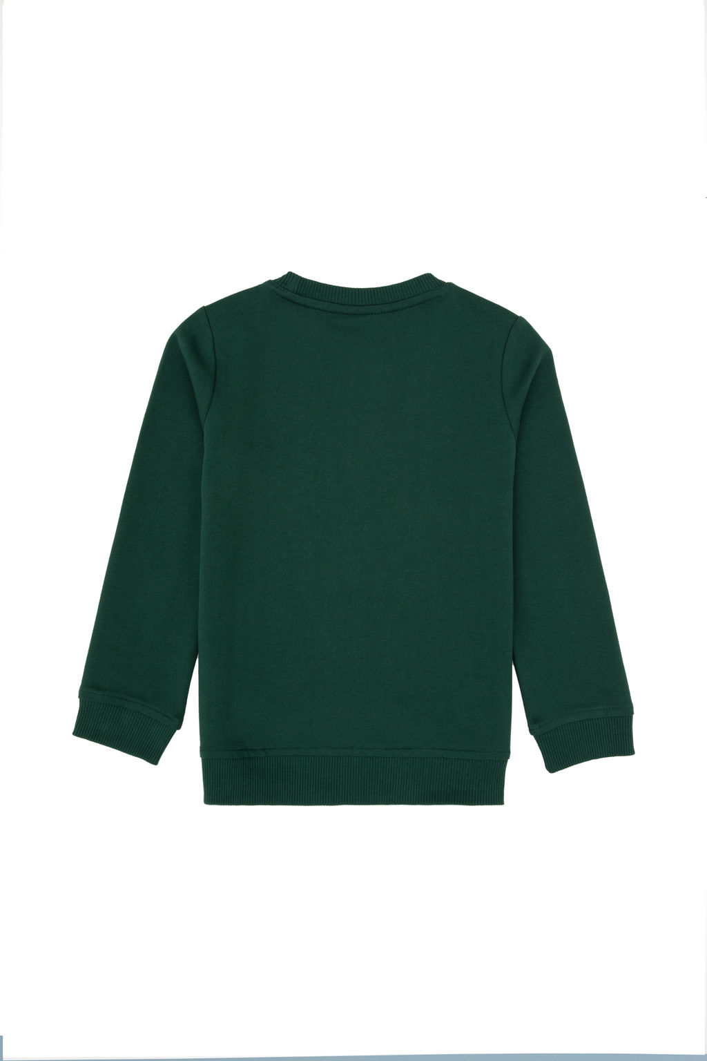Erkek _ocuk Koyu Ye_il Basic Bisiklet Yaka Sweatshirt Sepette S_rpriz _ndirim - U.s. polo assn фото 5