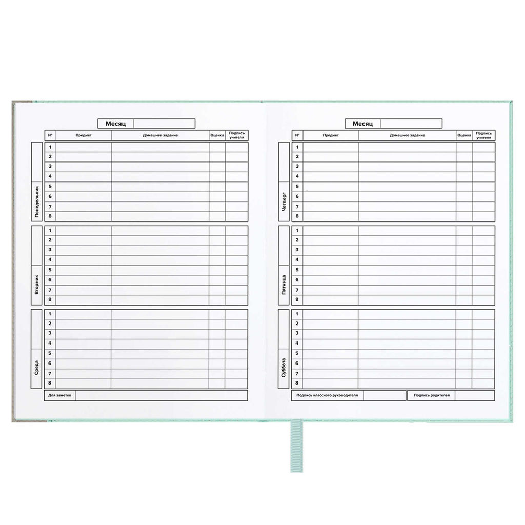 Дневник школьный арт. 68760 / 15 ПЛОНЖЕ МЯТНЫЙ