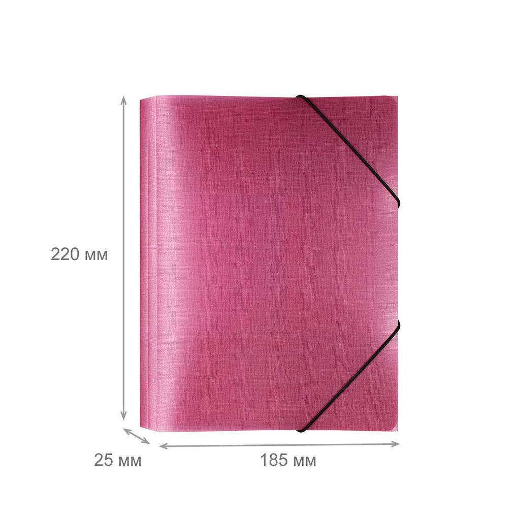 Expert Complete Trend ICEberries Папка на резинке A5 600 мкм 25 мм лён 1 шт. брусника EC210425070