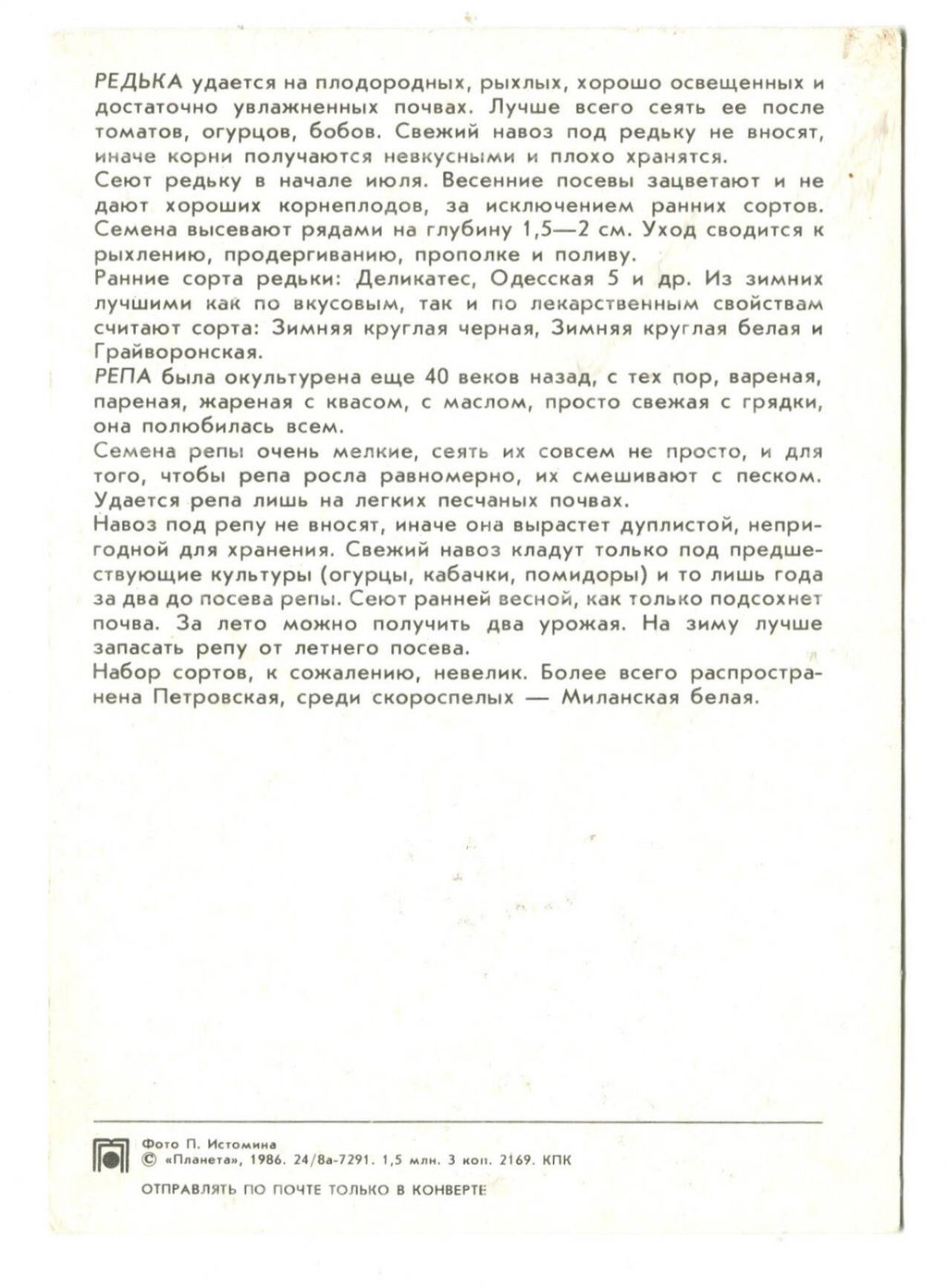 Открытка Редька.Репа