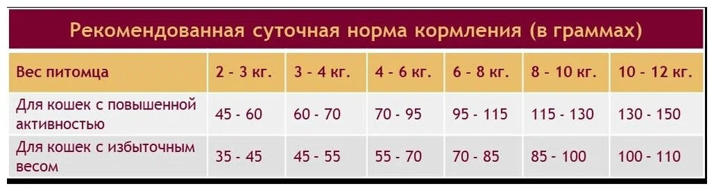 Скидка 50%!!! Гранплюс сухой корм для взрослых собак средних и крупных пород индейка и рис, 10,1 кг - Granplus фото 5