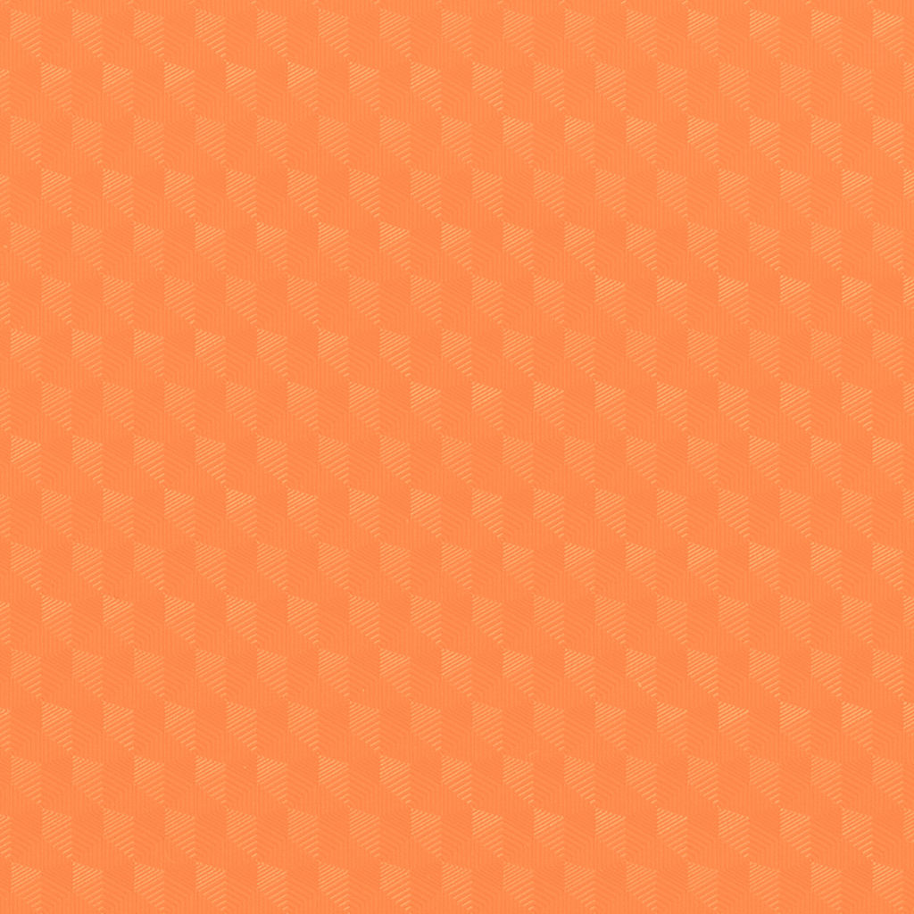 Expert Complete PRISMA NEON Папка-обложка для сменного тетрадного блока на 4 кольцах A5+ 700 мкм 20 мм эффект 3D 1 шт. d - 20 мм оранжевый EC21140012