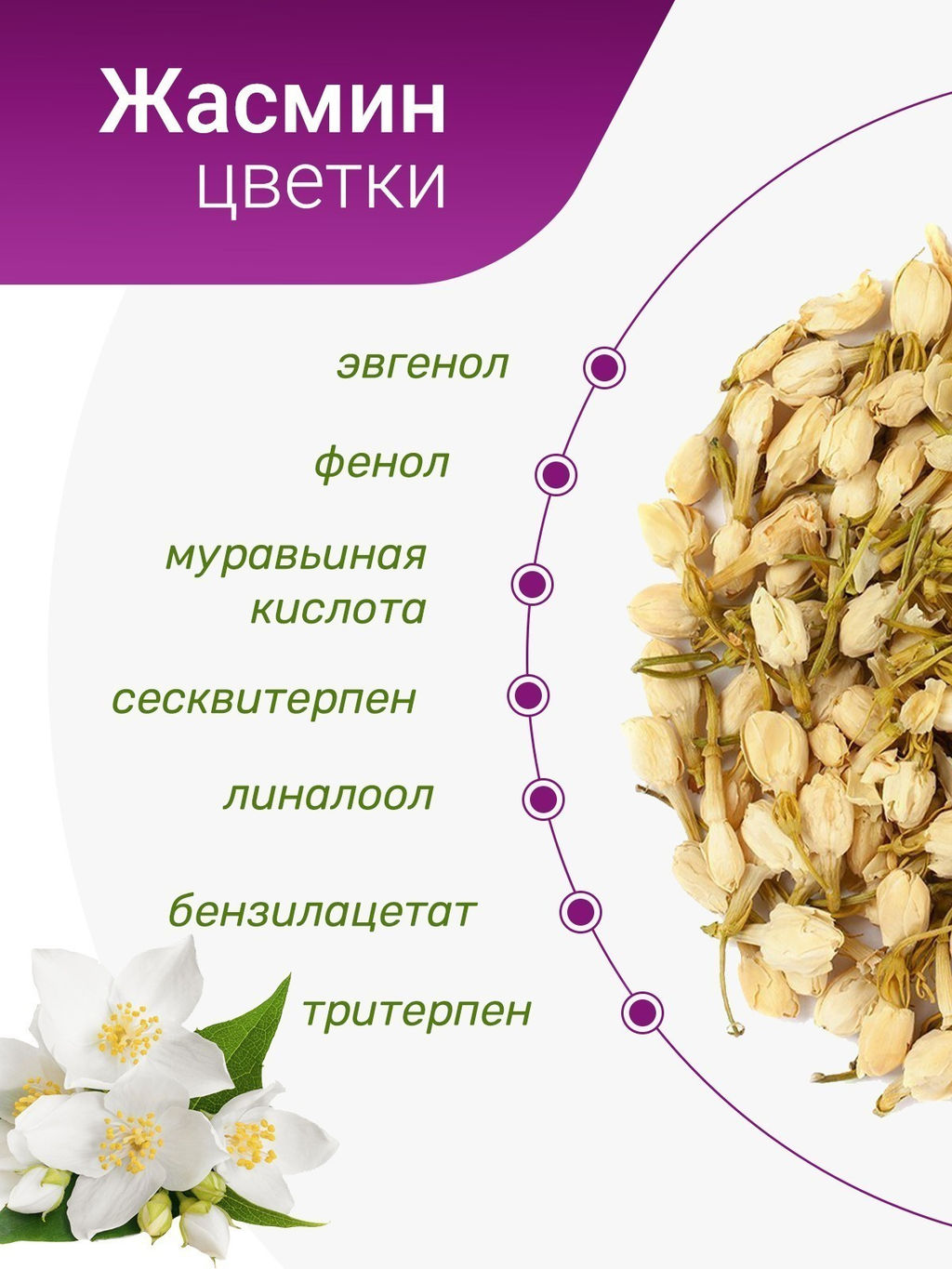 Цветки жасмина - Травы горного крыма фото 7