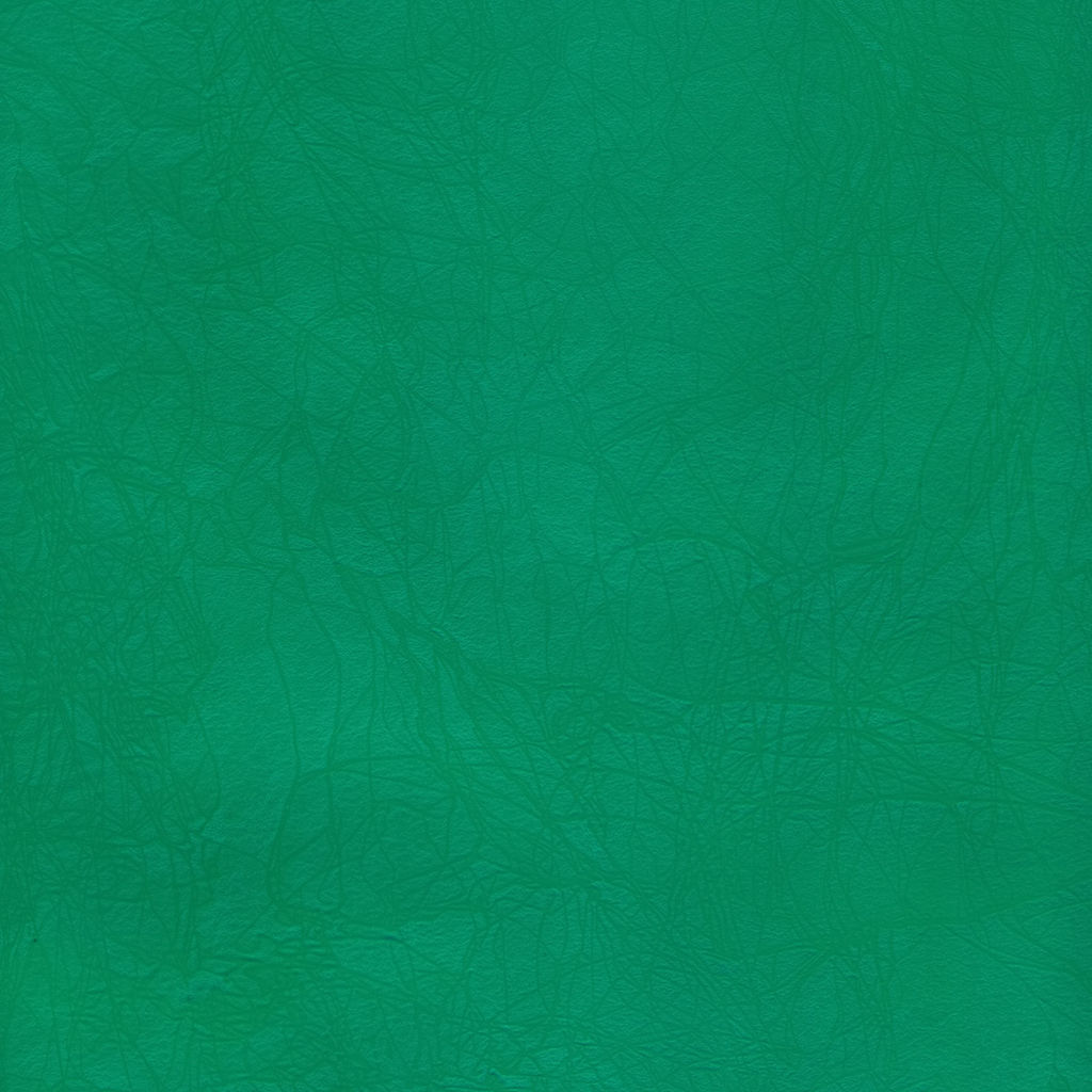 Expert Complete Premier Папка-конверт на ZIP-молнии travel 180 мкм волокно 10 шт. зеленый ЕС21123003T