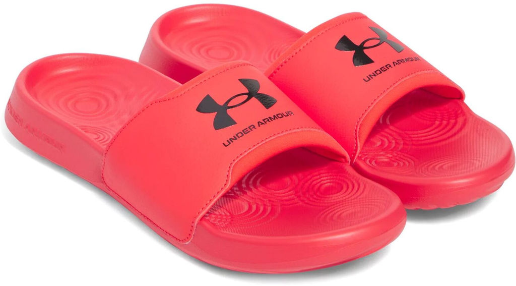 Шлепанцы мужские