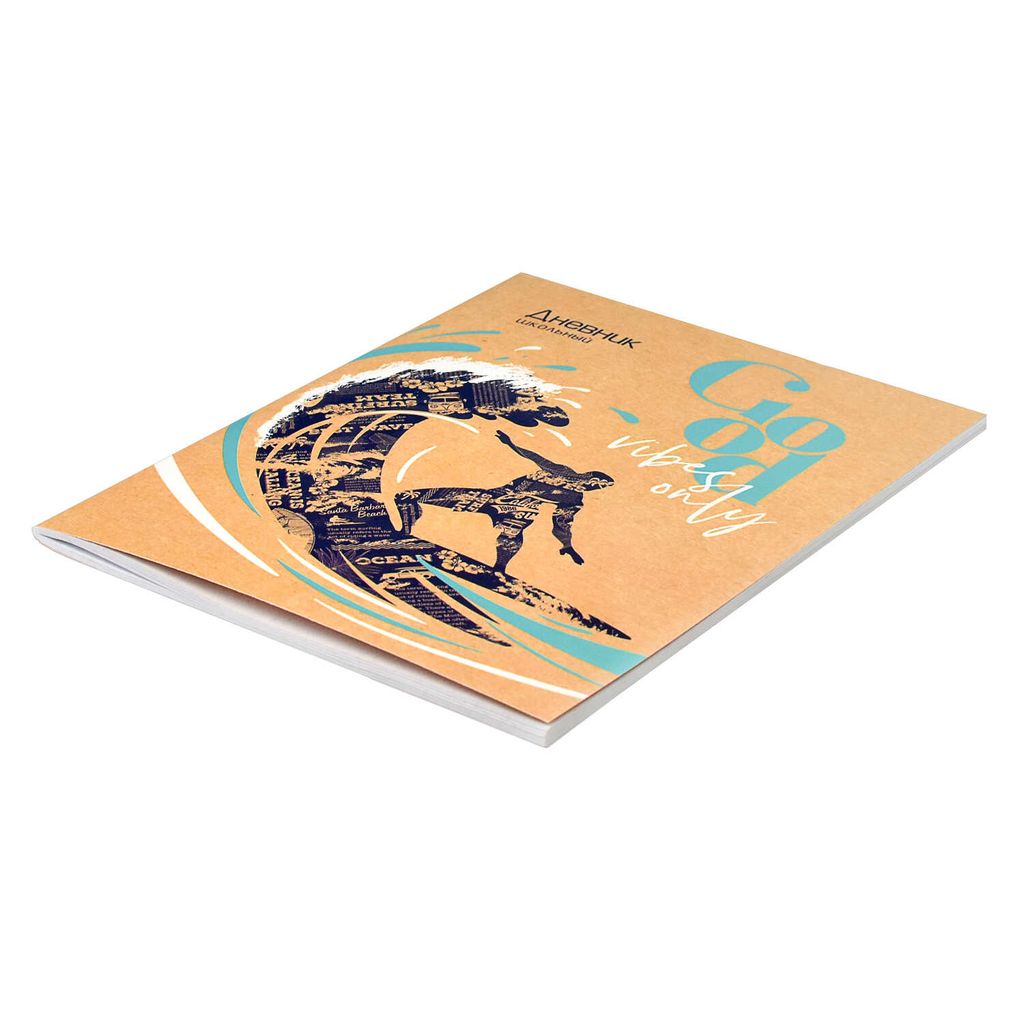 Дневник школьный арт. 60253 СЕРФЕР - Феникс+ фото 2