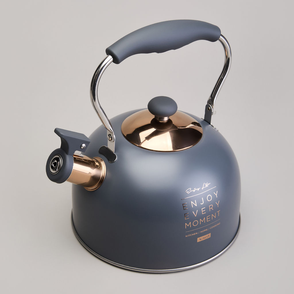 ЧАЙНИК AGNESS СО СВИСТКОМ 2,5 Л,НЖС ИНДУКЦИЯ  фото 3