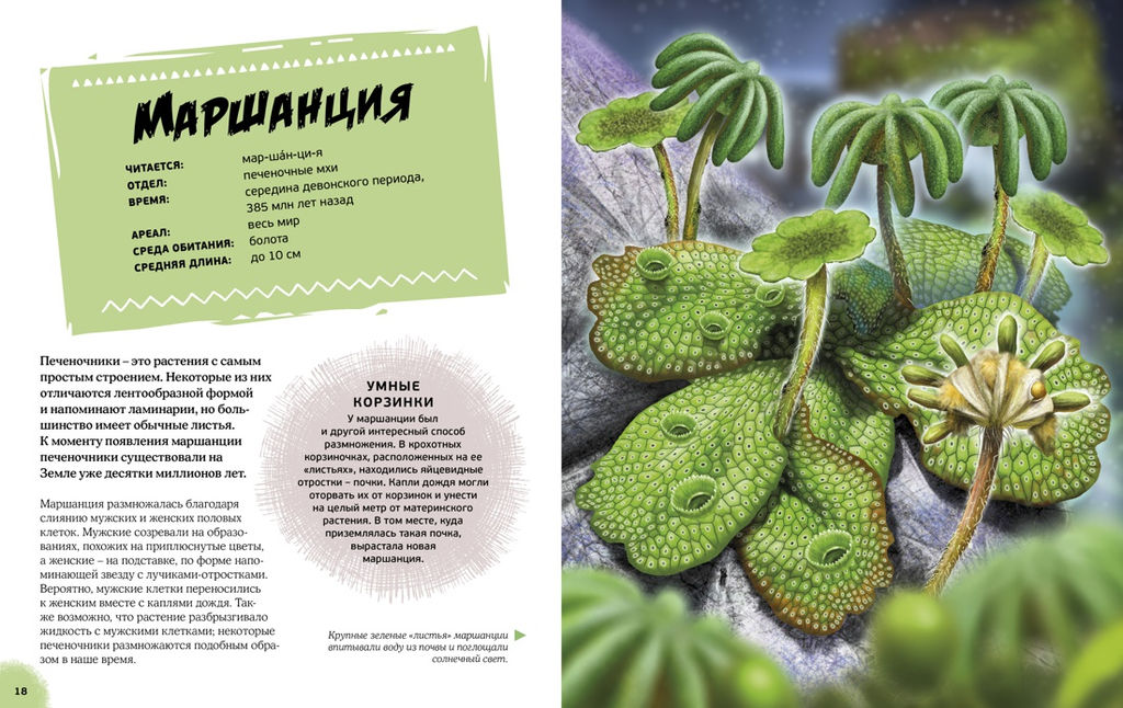 Эра динозавров. Жизнь в доисторические времена. Гибберт К., Фаркас Р. - Махаон фото 4