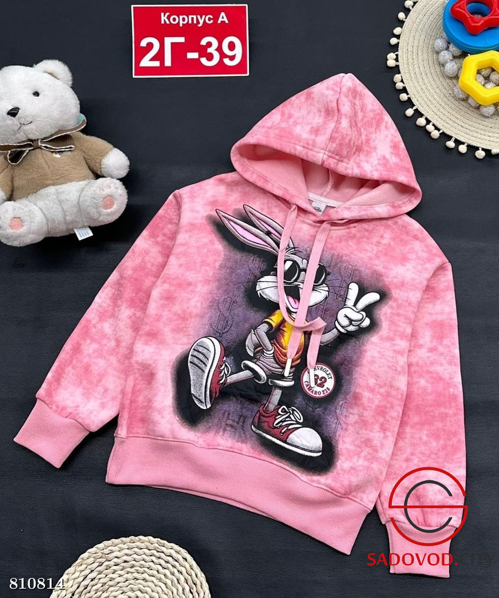 Толстовка с начёсом для девочки